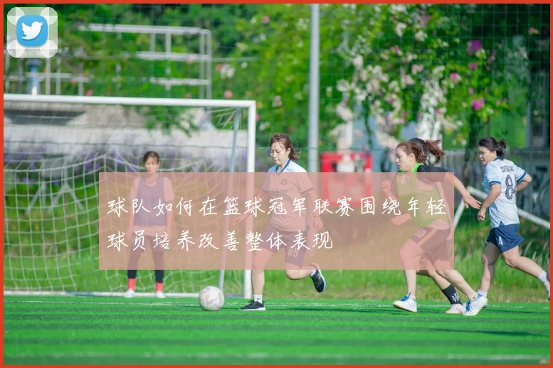 球队如何在篮球冠军联赛围绕年轻球员培养改善整体表现