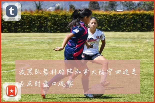 波黑队哲科对阵加拿大防守回追是否及时盘口观察