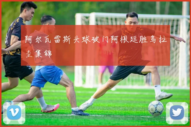 阿尔瓦雷斯头球破门阿根廷胜乌拉圭集锦