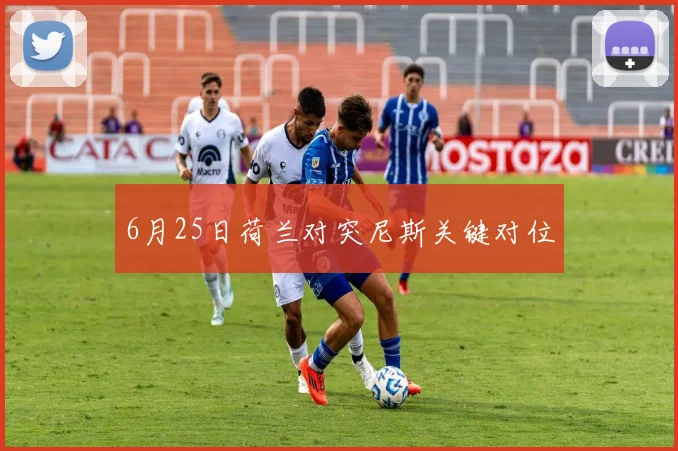 6月25日荷兰对突尼斯关键对位