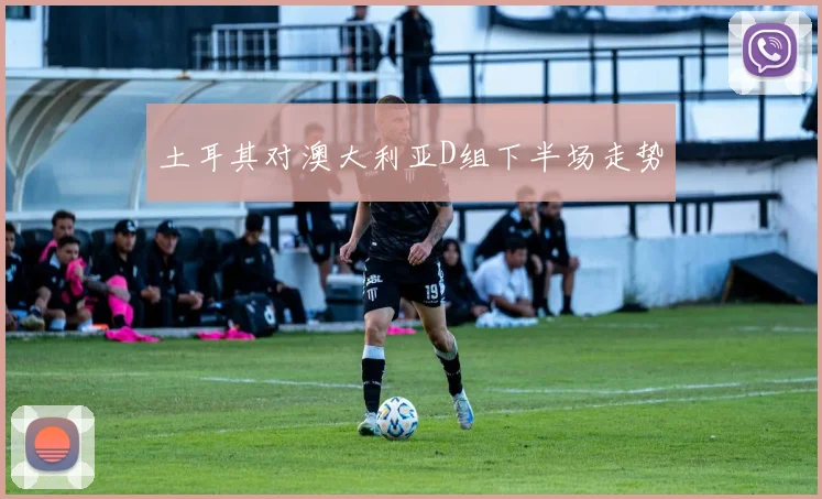 土耳其对澳大利亚D组下半场走势