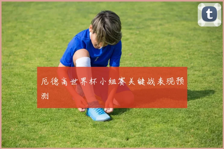 厄德高世界杯小组赛关键战表现预测